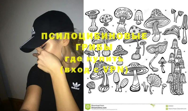 продажа наркотиков  Кохма  Галлюциногенные грибы Psilocybine cubensis 