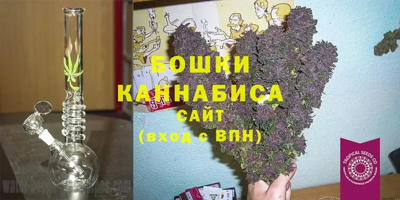 hydra зеркало  Кохма  Бошки Шишки OG Kush  закладка 